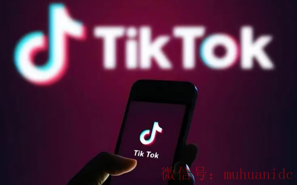 tiktok账号购买平台