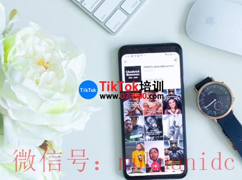 tiktok账号购买平台