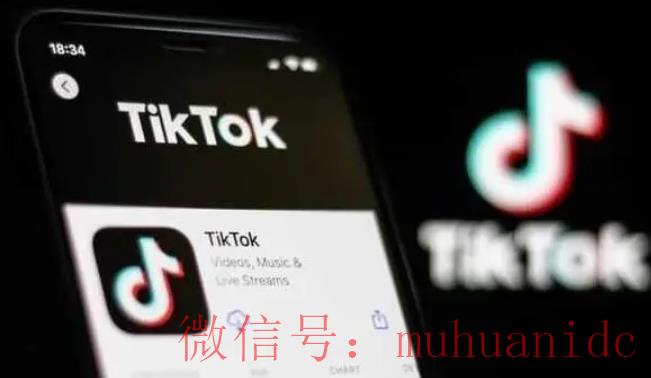 tiktok账号购买平台