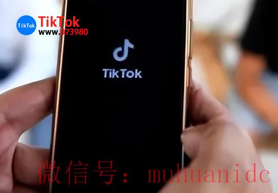 tiktok账号购买平台