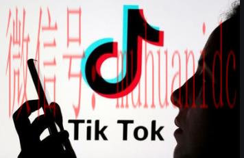 tiktok账号购买平台