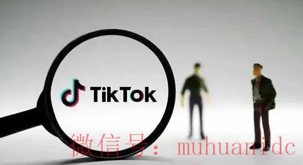 tiktok账号购买平台