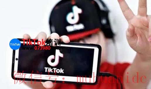 tiktok账号购买平台