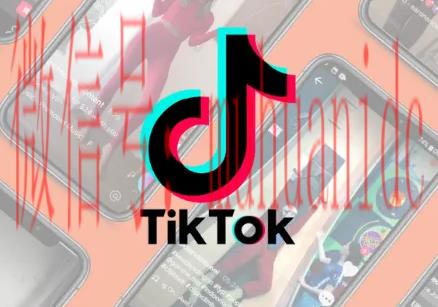 tiktok账号购买平台