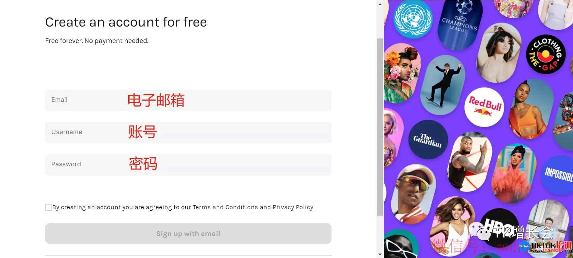 tiktok账号购买平台