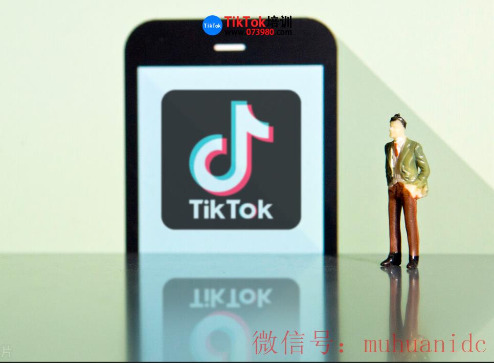 tiktok账号购买平台