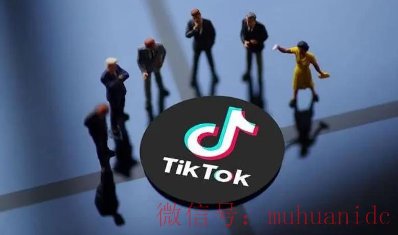 tiktok账号购买平台