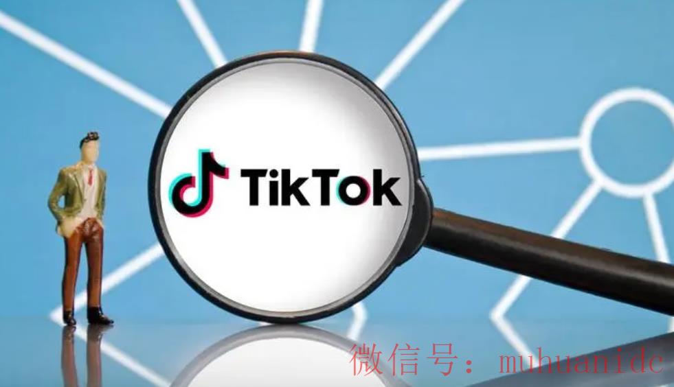 tiktok账号购买平台