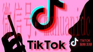 tiktok账号购买平台