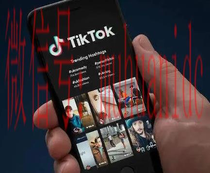 tiktok账号购买平台