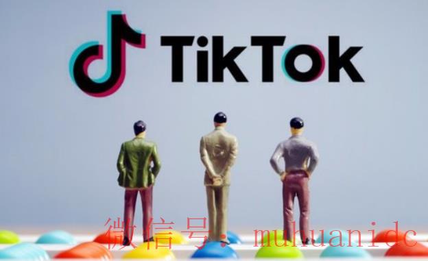 tiktok账号购买平台