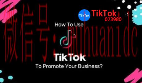 tiktok账号购买平台