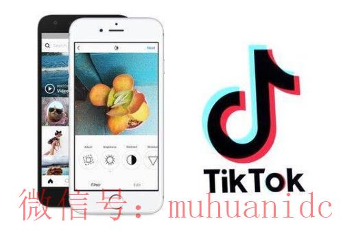 tiktok账号购买平台