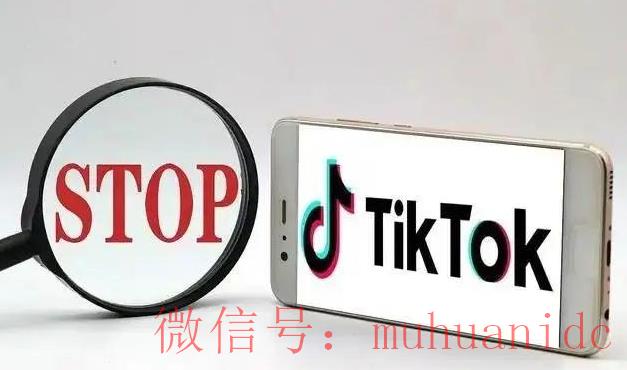 tiktok账号购买平台