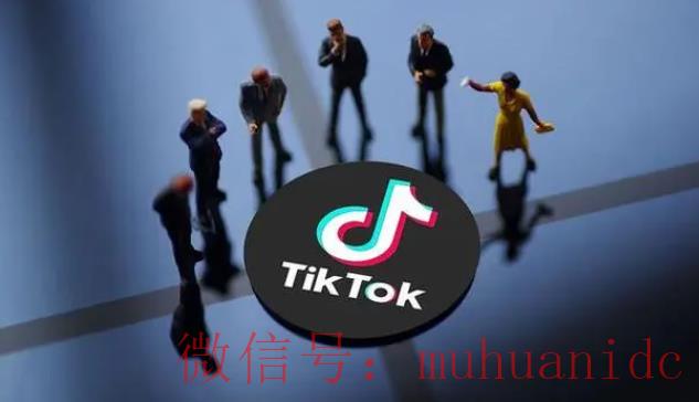 tiktok账号购买平台
