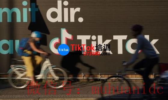 tiktok账号购买平台