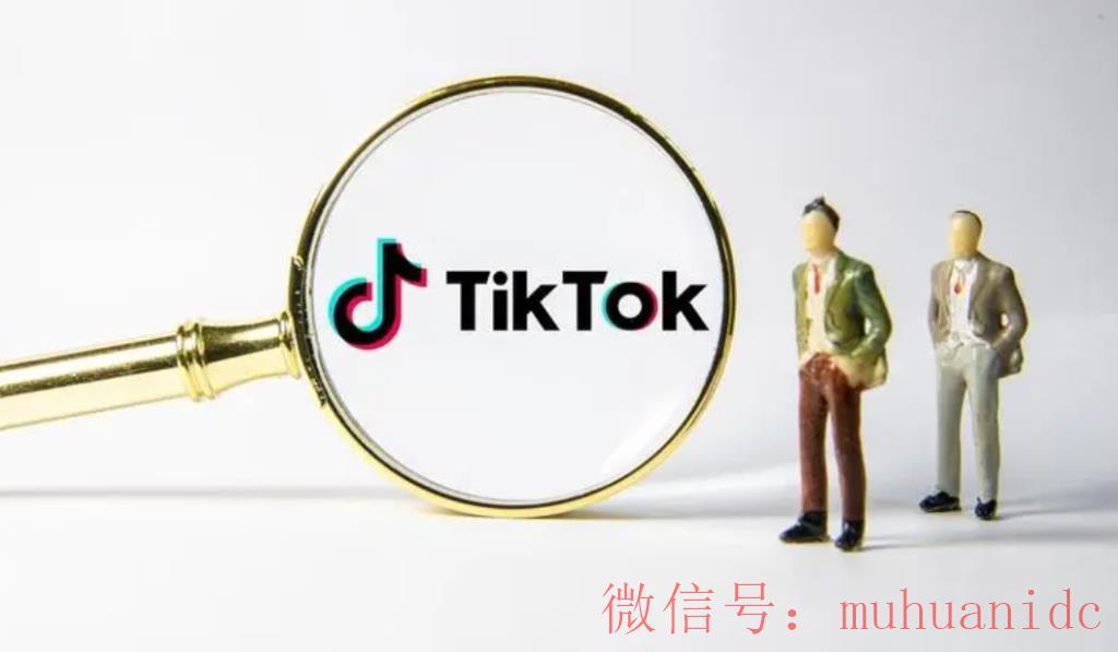 tiktok账号购买平台