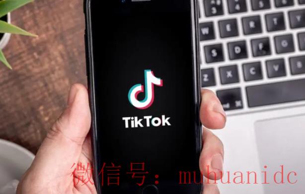 tiktok账号购买平台