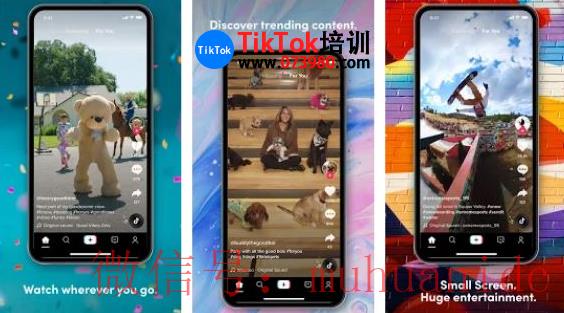 tiktok账号购买平台