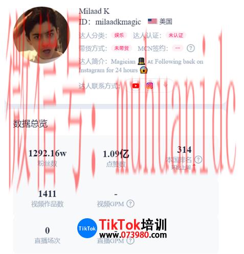 tiktok账号购买平台