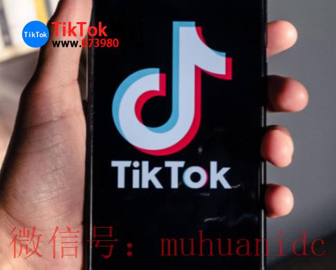 tiktok账号购买平台