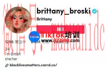 tiktok账号购买平台