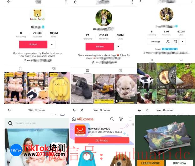 tiktok账号购买平台