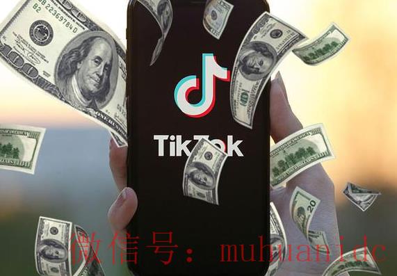 tiktok账号购买平台