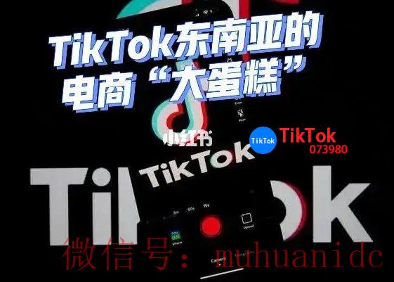 tiktok账号购买平台
