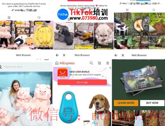 tiktok账号购买平台