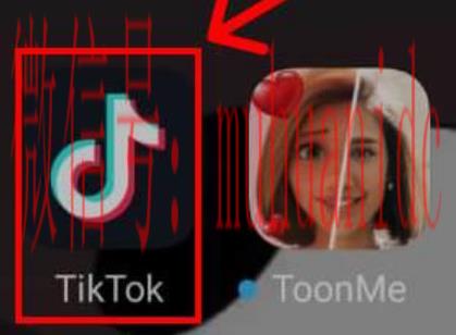 tiktok账号购买平台