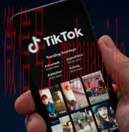 tiktok账号购买平台