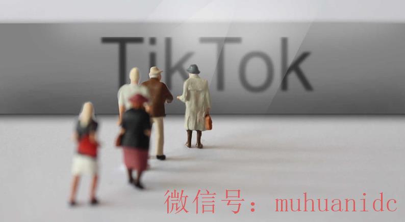 tiktok账号购买平台