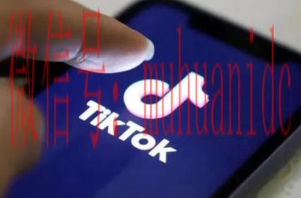 tiktok账号购买平台