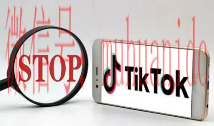 tiktok账号购买平台