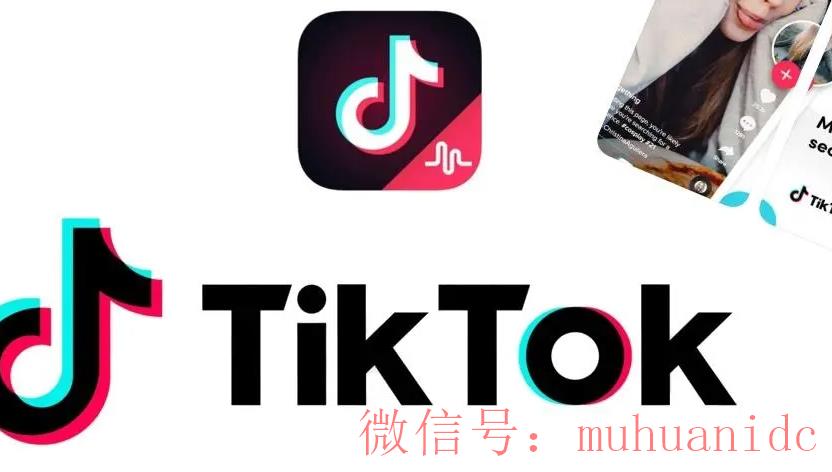 tiktok账号购买平台