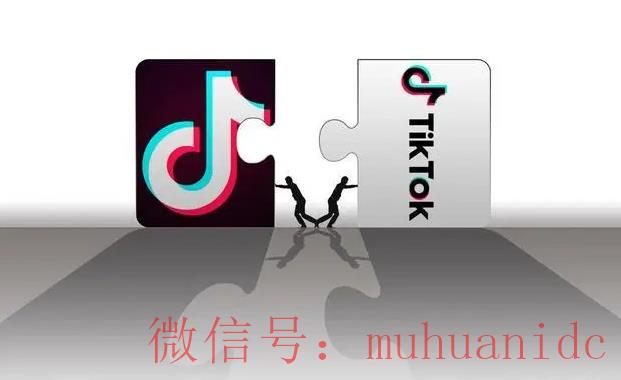 tiktok账号购买平台