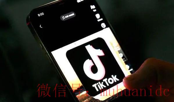 tiktok账号购买平台