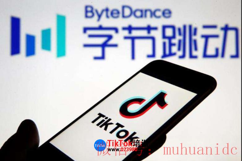 tiktok账号购买平台