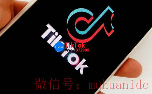 tiktok账号购买平台