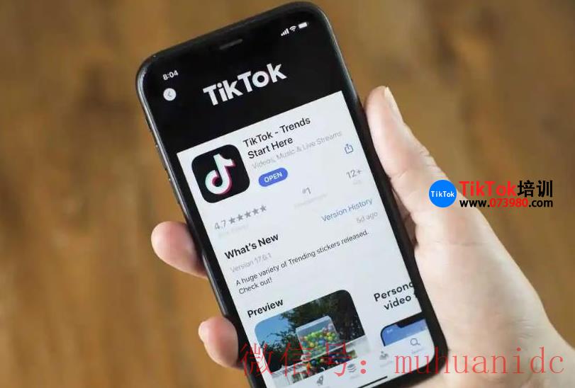 tiktok账号购买平台