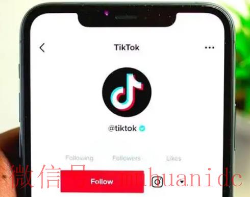 tiktok账号购买平台