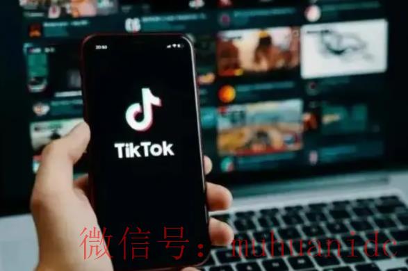 tiktok账号购买平台