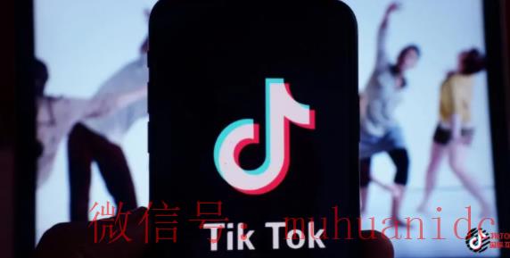tiktok账号购买平台