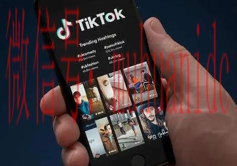 tiktok账号购买平台