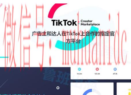 tiktok账号购买平台