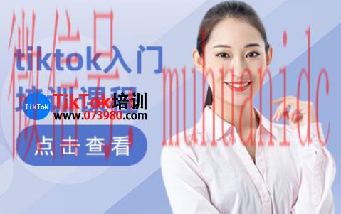 tiktok账号购买平台