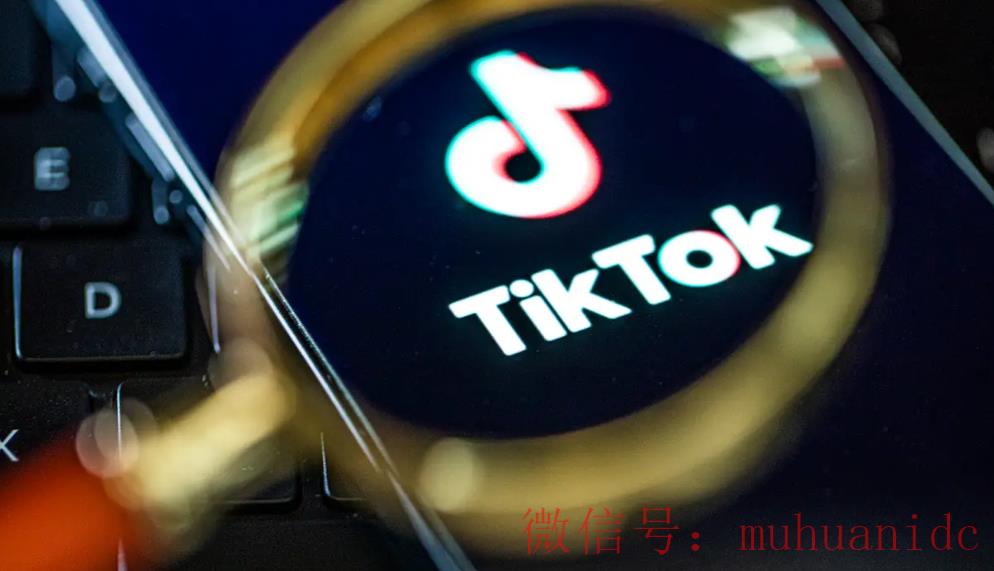 tiktok账号购买平台