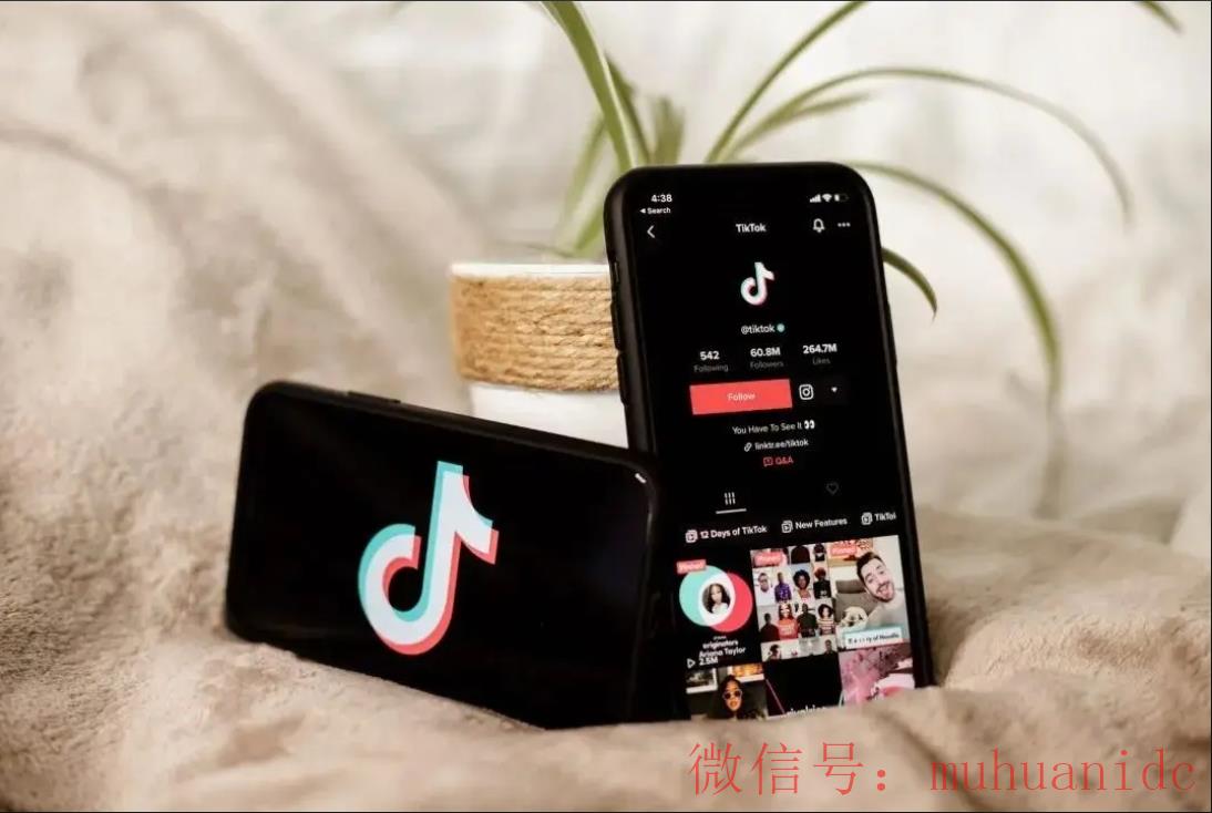 tiktok账号购买平台