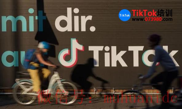 tiktok账号购买平台